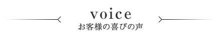 top_ttl_voice